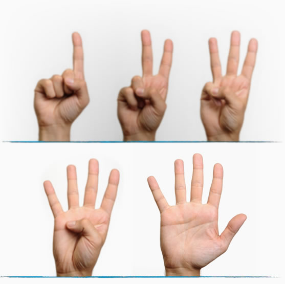 Five Step Process